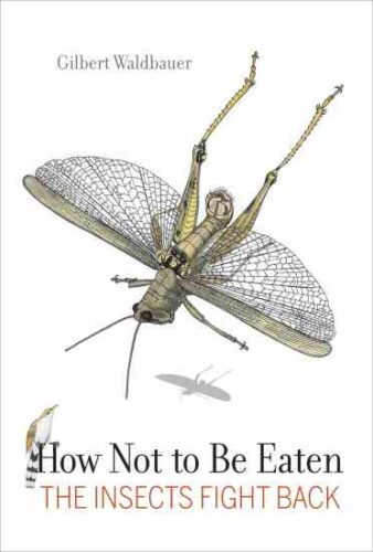 The Importance of Insects in the Web of Life